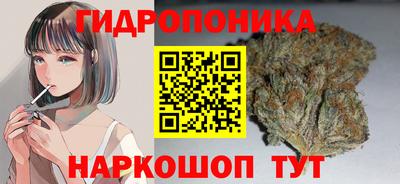 крисы Гусиноозёрск