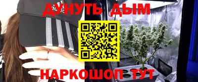 эйфоретик Гусь-Хрустальный
