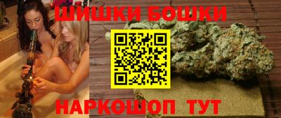 крисы Гусиноозёрск