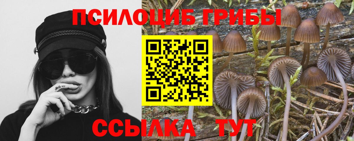Галлюциногенные грибы Psilocybe  Вход с VPN  купить наркотик  Карпинск 